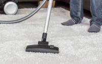 Fair Dinkum Carpet and Pest - Pest Control Buderim image 3